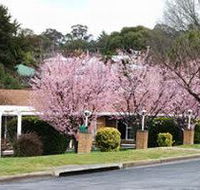 White Lanterns Motel - Local Tourism