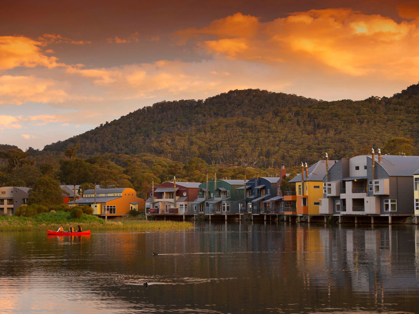 Avonside NSW Bed n Breakfasts