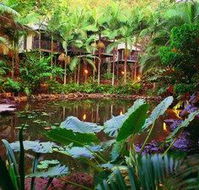 Daintree Eco Lodge  Spa - Local Tourism