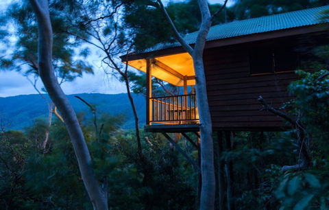 Thala Beach Nature Reserve - Accommodation Australia 0