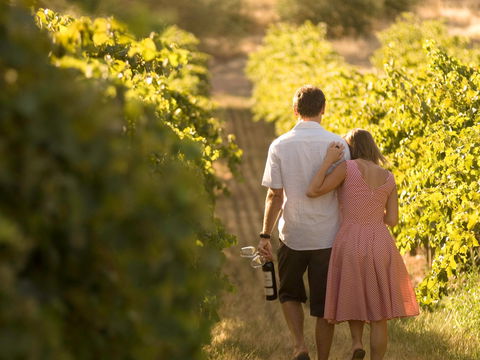 Novotel Barossa Valley Resort - Accommodation Australia 1