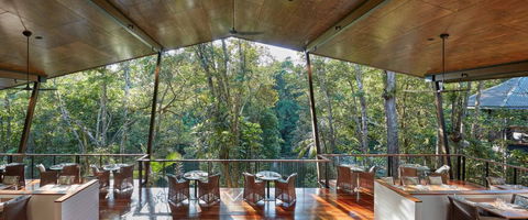 Silky Oaks Lodge - Local Tourism 1