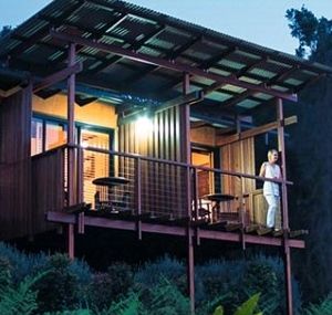 O'Reilly's Rainforest Guesthouse - Local Tourism 1