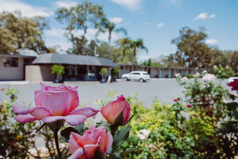 Artesian Spa Motor Inn - Local Tourism 2