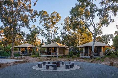 Discovery Parks Barossa Valley - Accommodation Australia 0