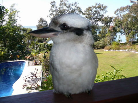 Yarrandabbi Dreaming Boutique B&B - Local Tourism 2