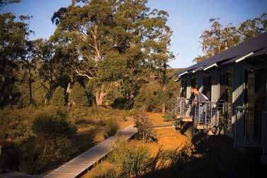 Cradle Mountain Wilderness Village - Local Tourism 2