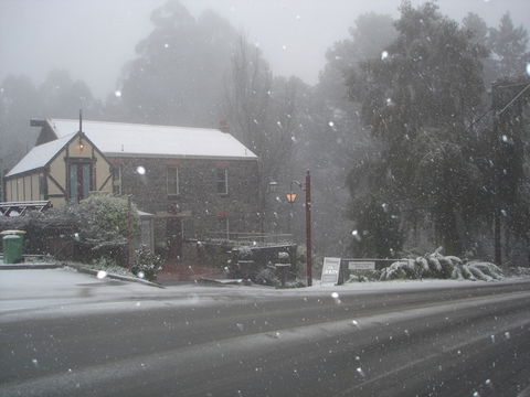 Adeline Bed & Breakfast - Local Tourism 1