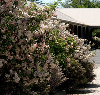 Wine Village Motor Inn - Local Tourism