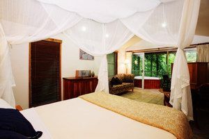 Daintree Eco Lodge & Spa - Accommodation Australia 1