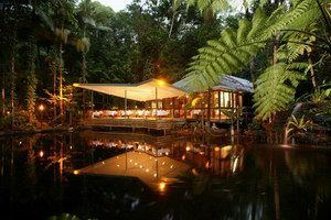 Daintree Eco Lodge & Spa - Accommodation Australia 2