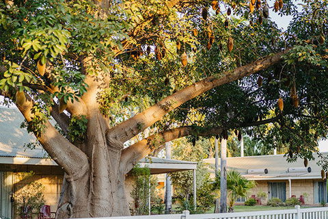 Kimberley Grande Resort & Conf Ctr - Accommodation Australia 0
