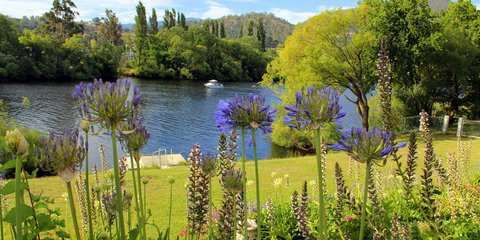 Woodbridge on the Derwent - Local Tourism 3