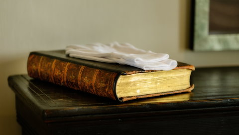 Woodbridge on the Derwent - Local Tourism 4