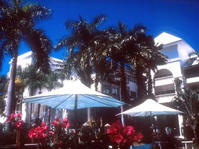 Alamanda Palm Cove - Bed n Breakfasts 1