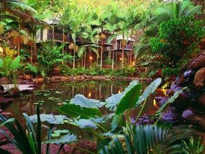 Daintree QLD Local Tourism
