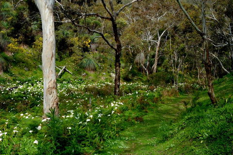 Lure Bed And Breakfast - Accommodation Australia 17
