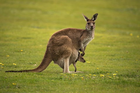 Lure Bed And Breakfast - Accommodation Australia 20