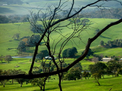 Lure Bed And Breakfast - Accommodation Australia 21