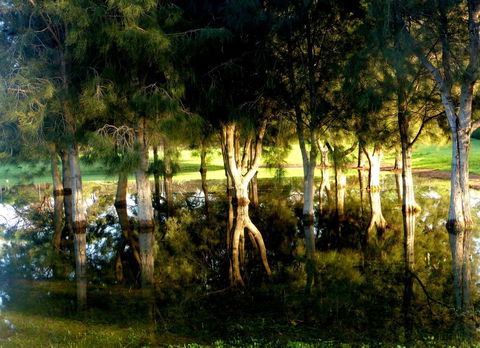 Lure Bed And Breakfast - Accommodation Australia 18