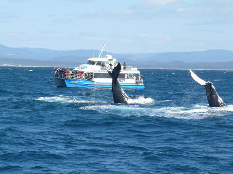 Heritage House Motel & Units - Accommodation Australia 28