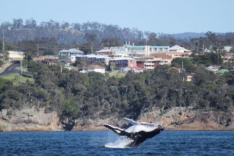 Heritage House Motel & Units - Accommodation Australia 27