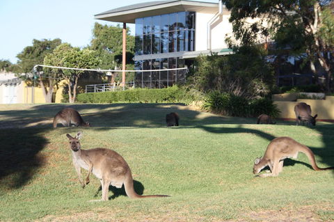 BreakFree Wirrina Cove - Accommodation Australia 28