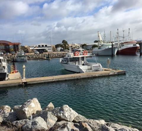 Port Lincoln Shark Apartment 1 - Accommodation Australia 14