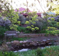 Frog Song at Willunga - Accommodation Australia