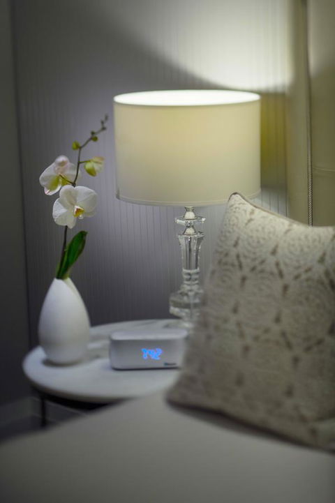 Mayfair Hotel - Accommodation Australia 13