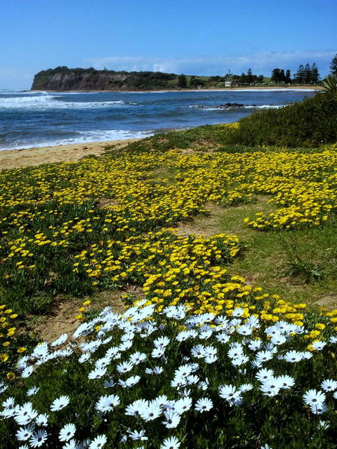 Serenity On Narrabeen Beach - 1Bdr Beachside Retreat - Accommodation Australia 10