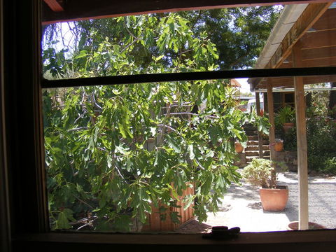 Trevalia Accommodation - Accommodation Australia 4