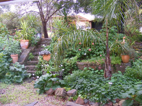 Trevalia Accommodation - Accommodation Australia 12