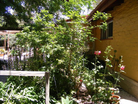 Trevalia Accommodation - Accommodation Australia 7