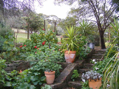 Trevalia Accommodation - Accommodation Australia 13