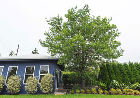 S T U D I O 22 Peaceful Retreat With Garden Views - Local Tourism 11