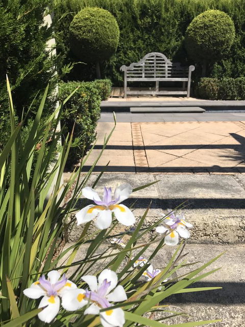 S T U D I O 22 Peaceful Retreat With Garden Views - Local Tourism 13