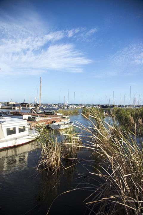 Wayfarers Cottage - Accommodation Australia 15