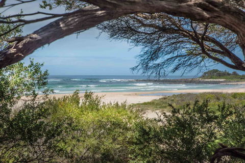 BIG4 Tasman Holiday Parks - Racecourse Beach - Accommodation Australia 7