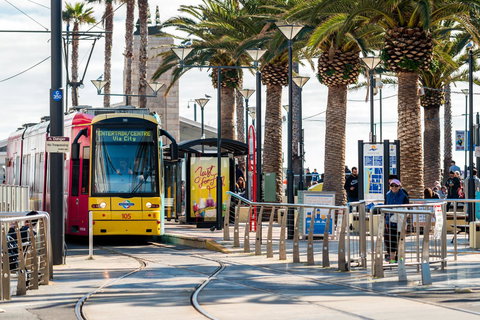 Luxury Beachside Accomodation - Local Tourism 24