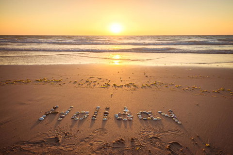 Luxury Beachside Accomodation - Local Tourism 29