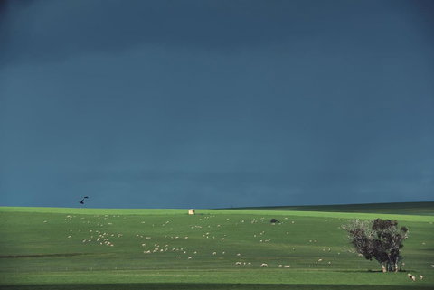 Boutique Getaway On Wright - Australia Shopping 29