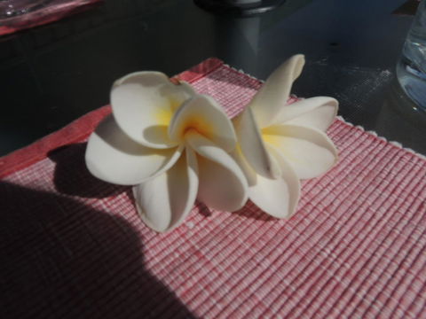 Glenelg - Marina Retreat - Australia Shopping 15