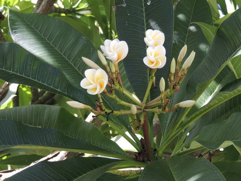 Glenelg - Marina Retreat - Australia Shopping 28