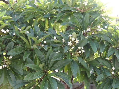 Glenelg - Marina Retreat - Australia Shopping 36