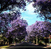 Monaco Court Apartment Adelaide - Accommodation Australia