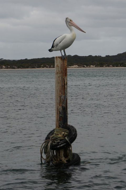 Kohinoor Getaway - Australia Shopping 13