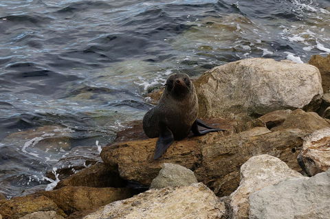 Kohinoor Getaway - Australia Shopping 12