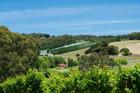 The Other House - Local Tourism 3