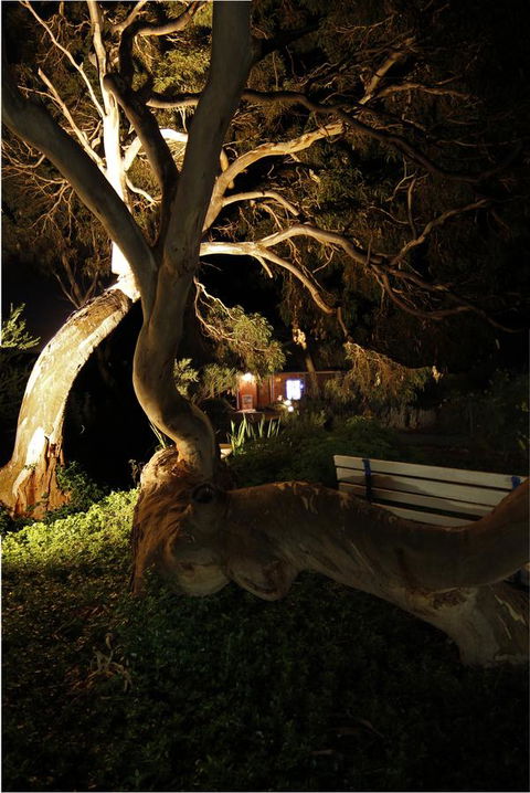 Cape Jervis Holiday Units - Accommodation Australia 14